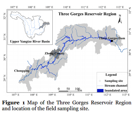 IMHE reveals the soil reinforcement by the roots of four prevailing grass species in the riparian zone of Three Gorges Reservoir