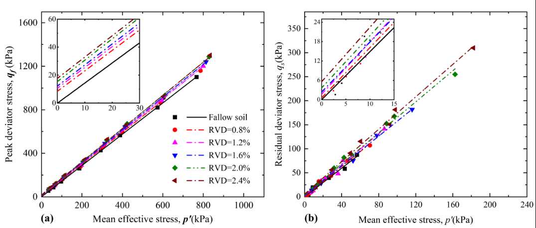 New Study Reveals Root Density Significantly Improves Strength and Liquefaction Resistance of Saturated Sand ​